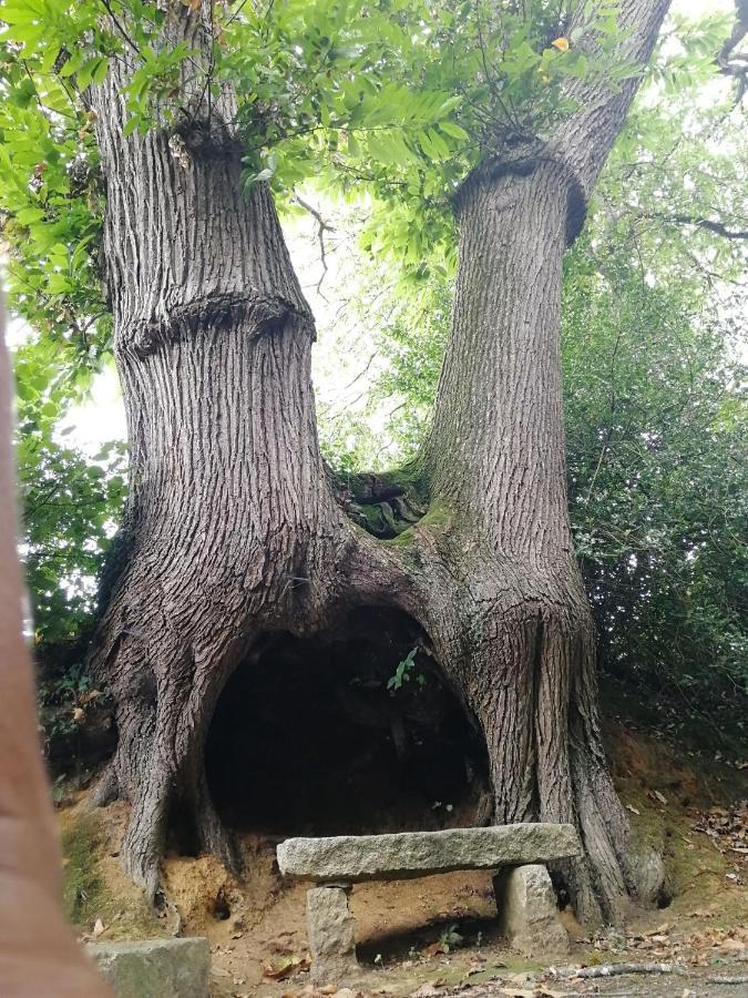 Le Gite Du Fou Logement 8 Pers 13Mn Puy Du Fou Saint-Amand-sur-Sevre エクステリア 写真
